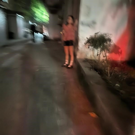 杭州崇贤站街第二弹