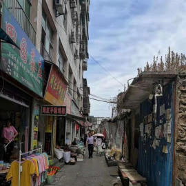 西安莲湖区王家巷站姐