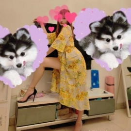 石家庄长腿骚货